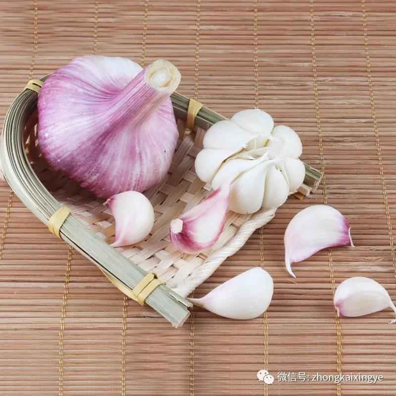 微信图片_20180529092142.jpg 微信图片_20180529092142.jpg